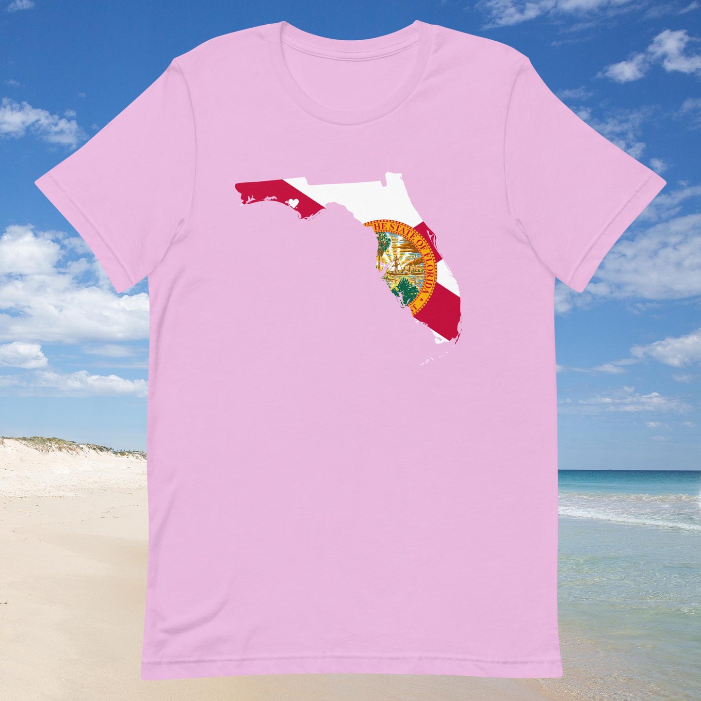 Florida Flag Shirt